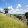 images/malkintower/_jjj7892.jpg
