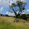 images/malkintower/_jjj7962.jpg
