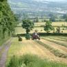 images/malkintower/croppicture_164.jpg
