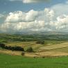 images/pendleandbowland/01rvp8221652.jpg