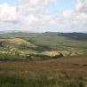 images/pendleandbowland/fbimg_2710.jpg