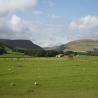 images/pendleandbowland/fbimg_2982.jpg
