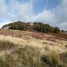 images/pendleandbowland/fbimg_2993.jpg