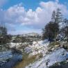 images/pendleandbowland/pendle_07a_pendle_view300_07a_pendle_view300.jpg