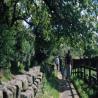 images/pendleandbowland/pendle_143_wycoller_county_park300_143_wycoller_county_park300.jpg