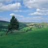 images/pendleandbowland/pendle_145_blacko_tower300_145_blacko_tower300.jpg