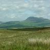 images/pendleandbowland/ydp6101499.jpg